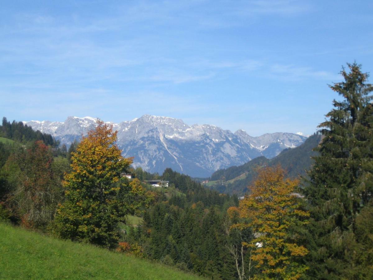 Villa Vordersattlegghofhuette Hüttau Esterno foto